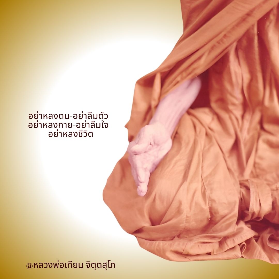 ภาพประกอบคำสอนหลวงพ่อเทียน ตอนที่ 306