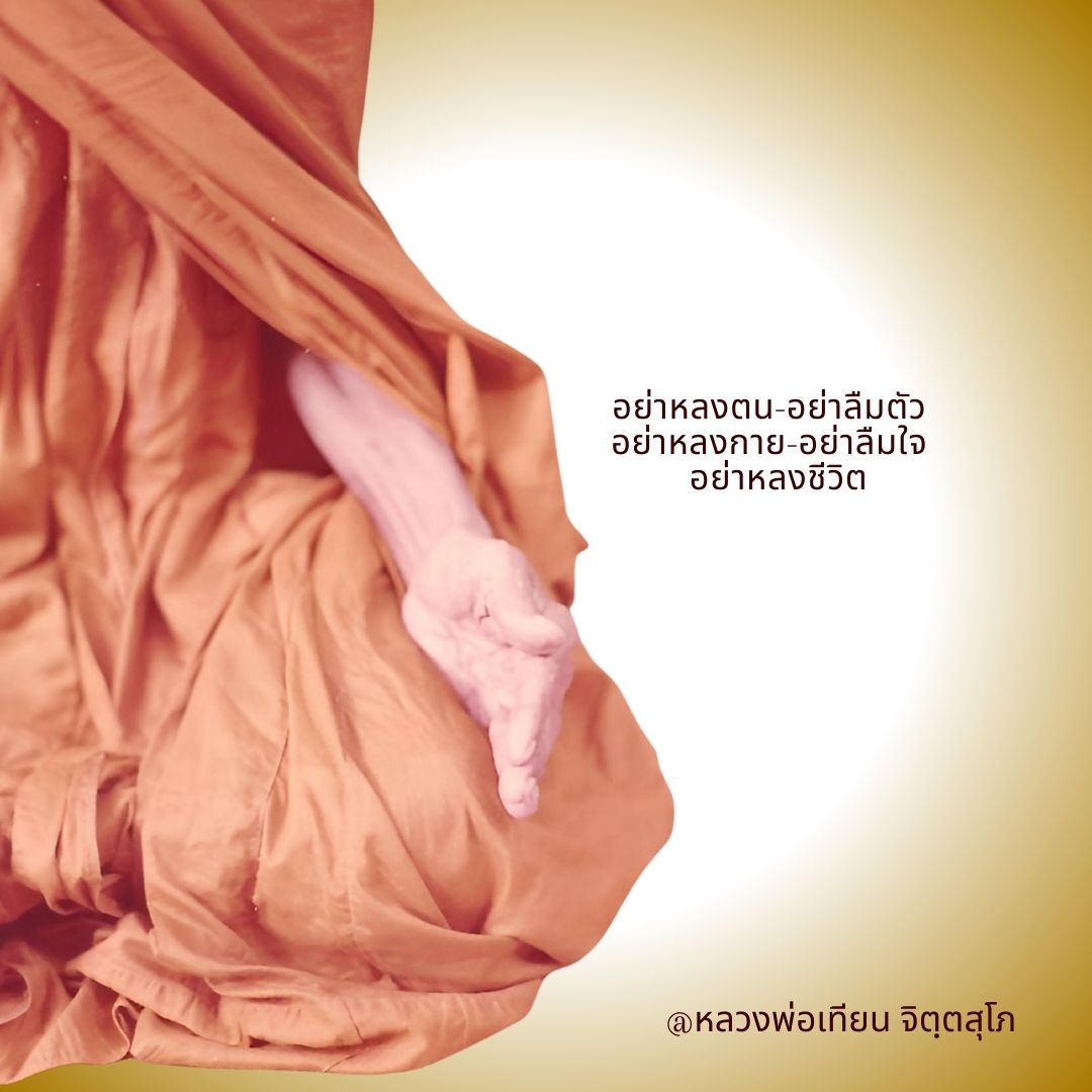 ภาพประกอบคำสอนหลวงพ่อเทียน ตอนที่ 059