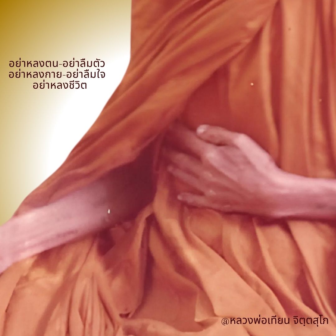 ภาพประกอบคำสอนหลวงพ่อเทียน ตอนที่ 310